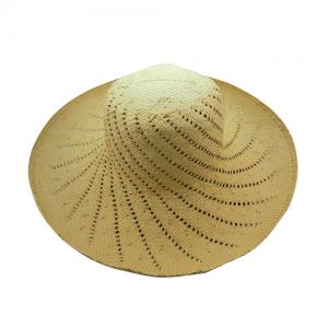 hat body 1 hat body 1